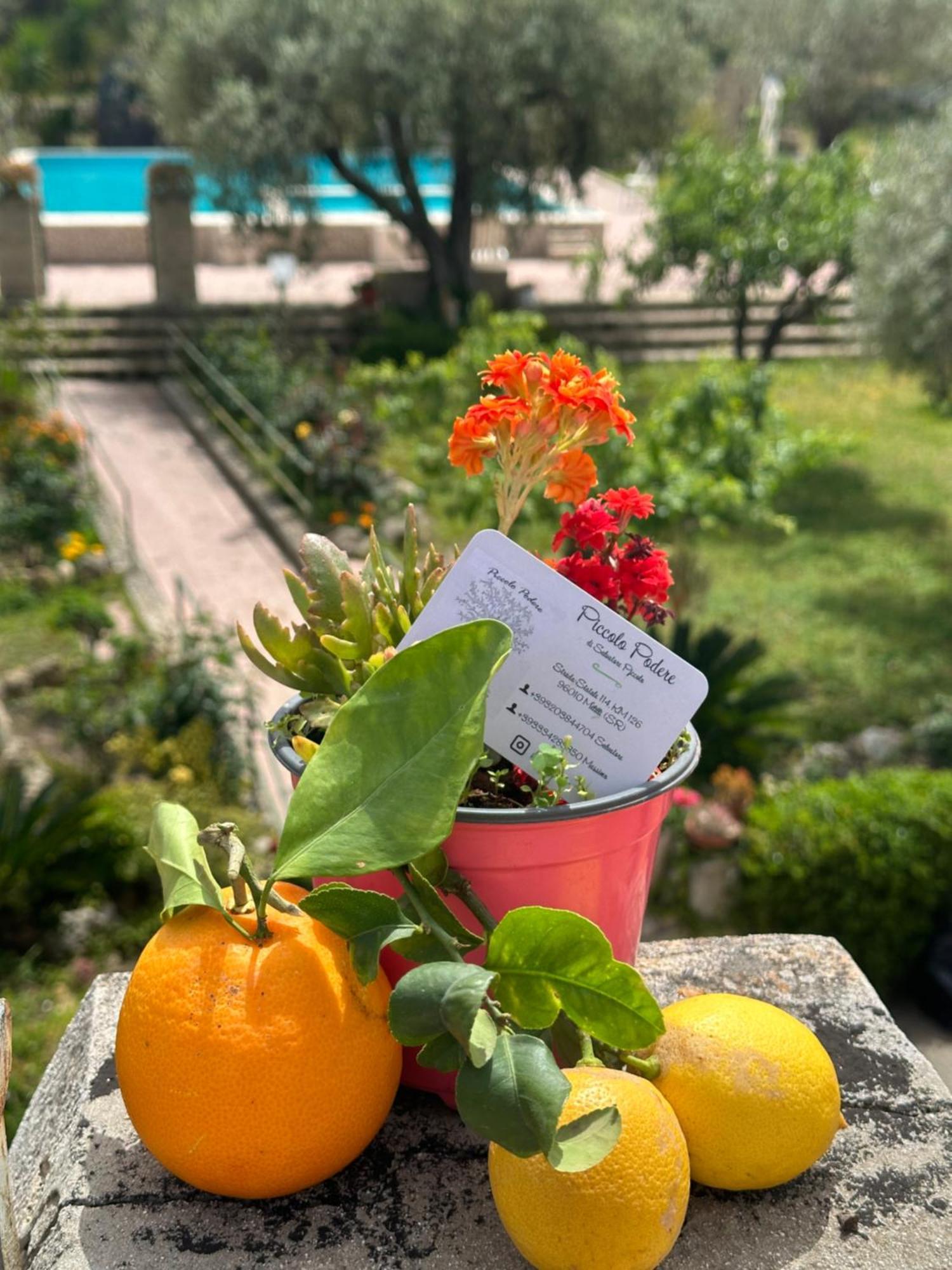 Piccolo Podere Apartamento Melilli Exterior foto